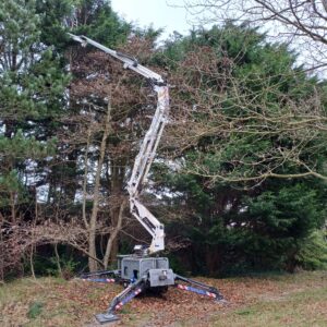 Hoogwerker onderhoud Hoveniersbedrijf